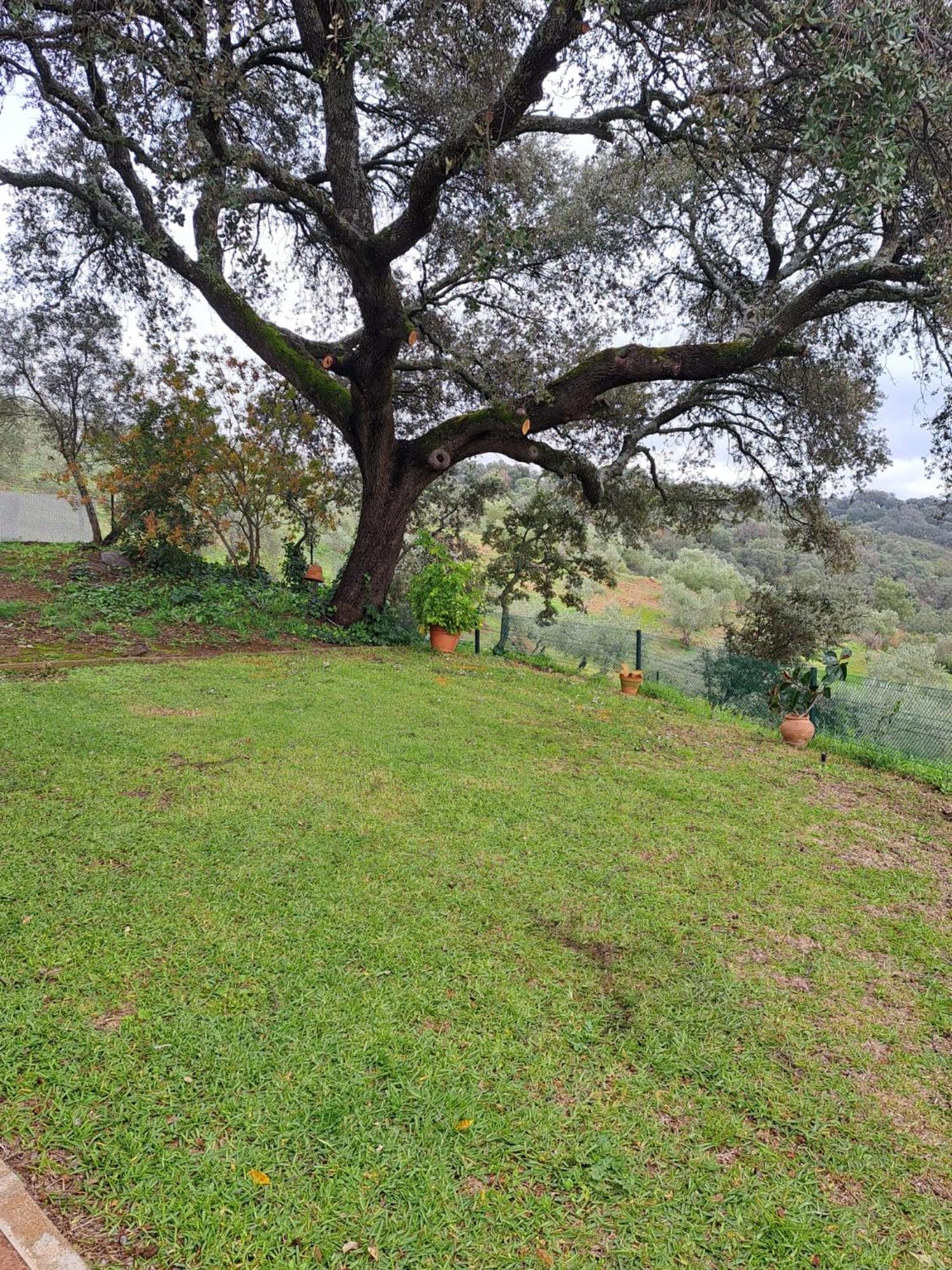 Casa Rural Villa Manuela Cazalla de la Sierra Eksteriør bilde