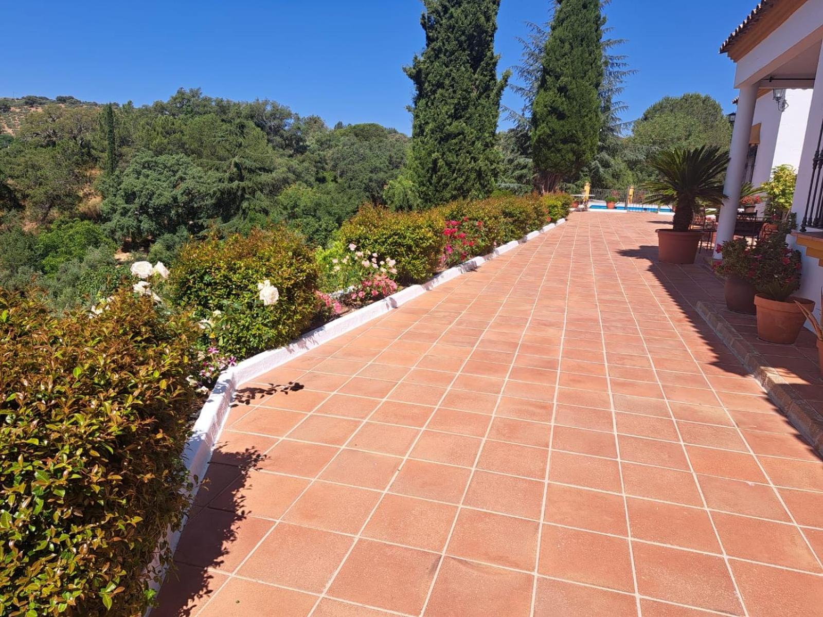 Casa Rural Villa Manuela Cazalla de la Sierra Eksteriør bilde