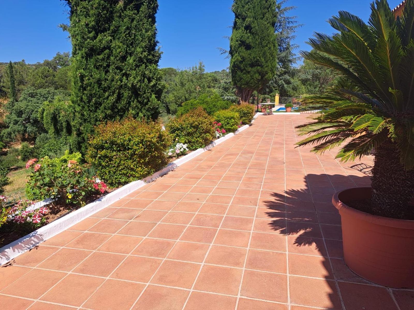 Casa Rural Villa Manuela Cazalla de la Sierra Eksteriør bilde
